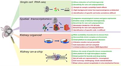 Emerging Technologies to Study the Glomerular Filtration Barrier